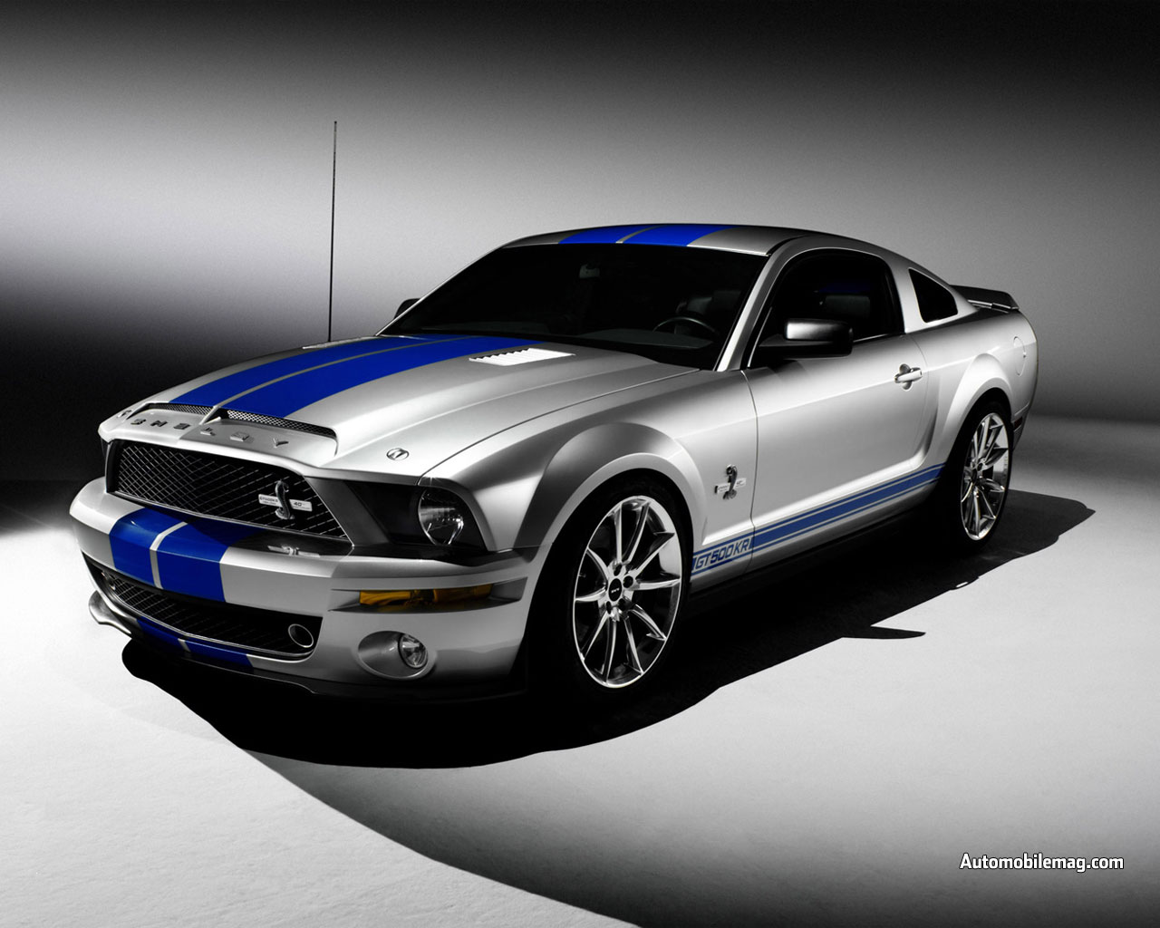 Ford Shelby: 1 фото